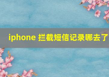 iphone 拦截短信记录哪去了